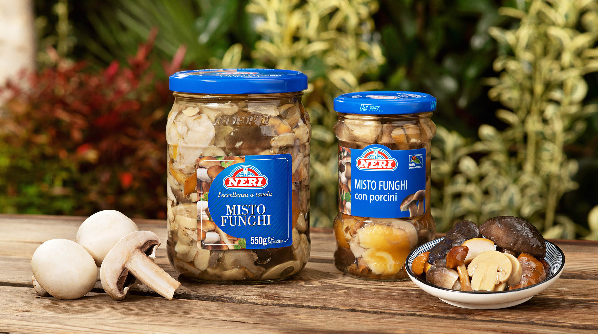 Funghi sott'olio | Neri Sottoli